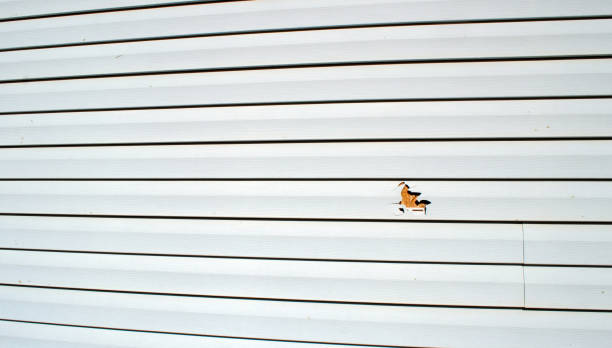 Trusted Mountainside, NJ Siding Installation & Repair Experts